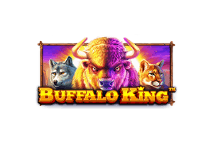 buffalo king